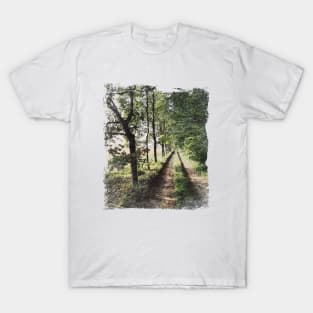 Road near forest T-Shirt